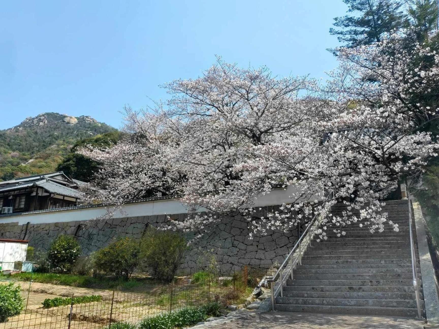 Tiny House Zen 倉橋島 Villa