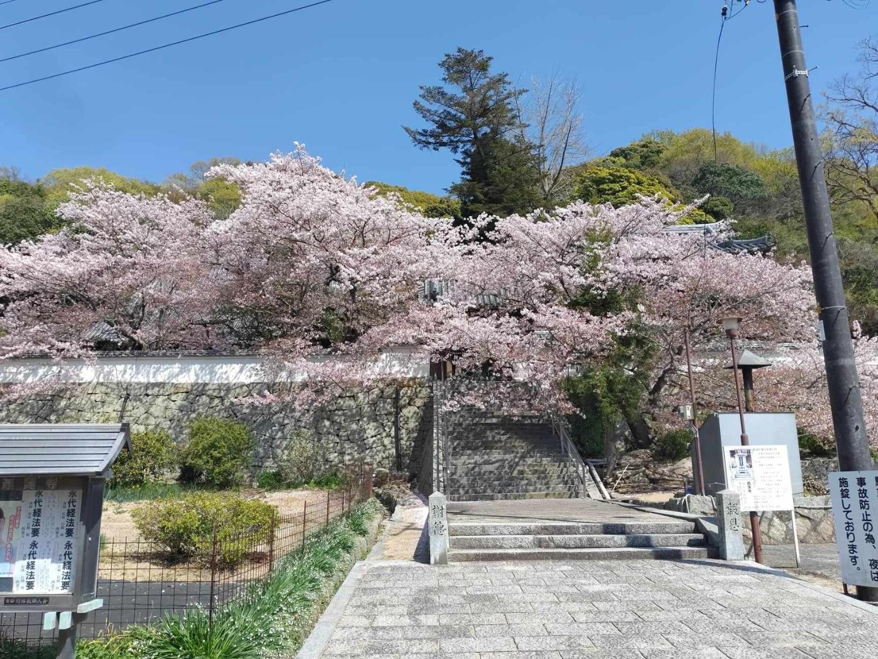 Villa Tiny House Zen 倉橋島