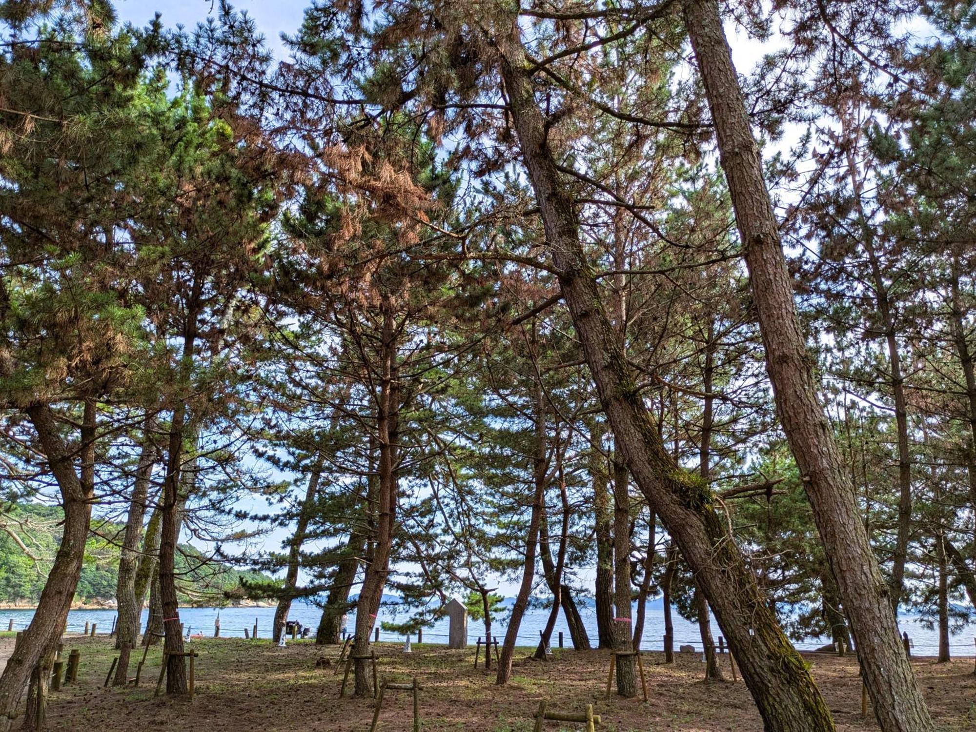 Tiny House Zen 倉橋島 Kure